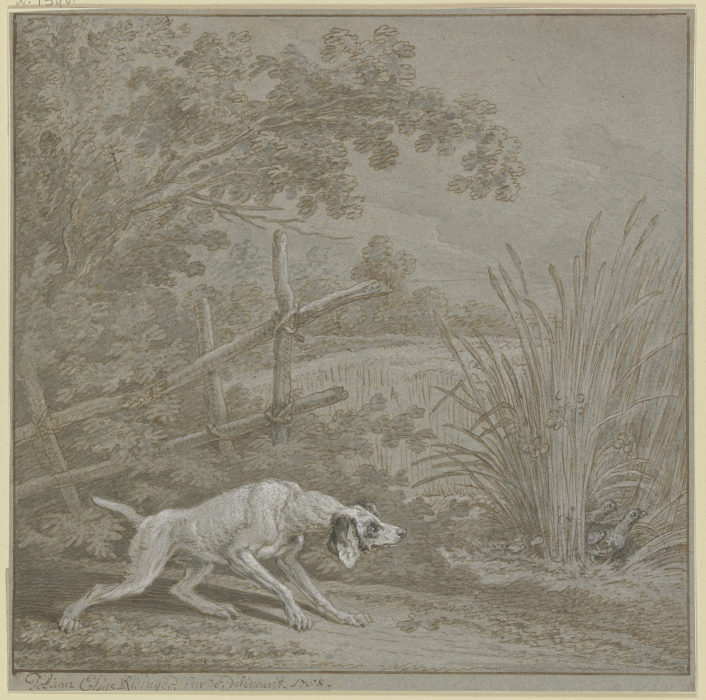Vorsteherhund auf Rebhühner von Johann Elias Ridinger