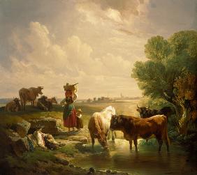 Hirtenfamilie mit Kühen an der Tränke