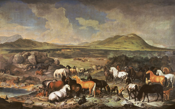 The Imperial Stud with Lipizzaner Horses von Johann Georg Hamilton
