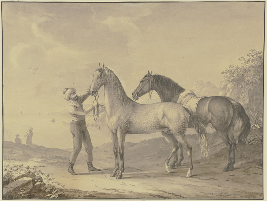 Pferde aus Tunis von Johann Georg Pforr