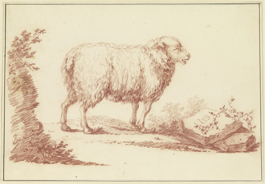 Ein Schaf nach rechts von Johann Ludwig von Pfeiff