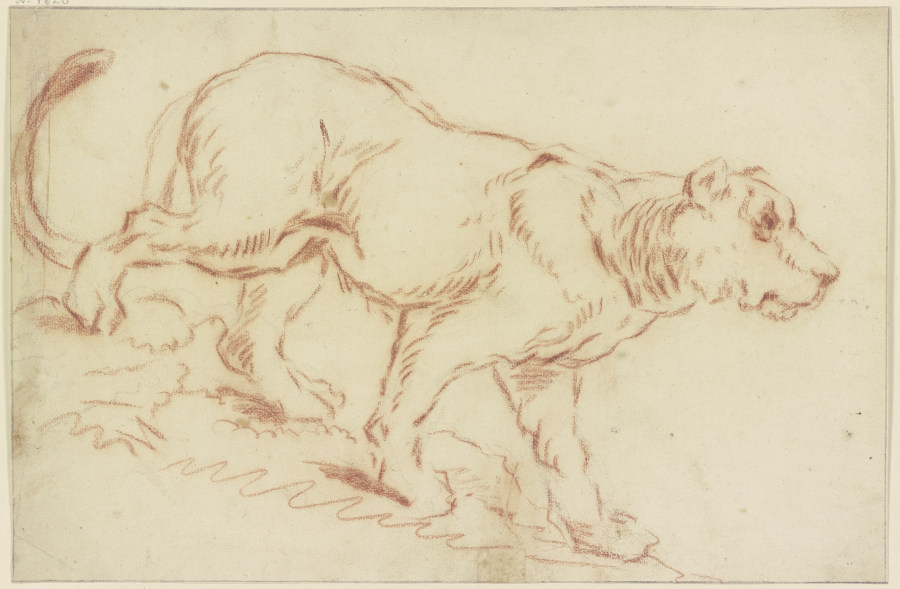 Herabschreitende Löwin nach rechts von Johann Melchior Roos