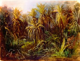 Der Palmenwald bei Manzanillo. von Johann Moritz Rugendas