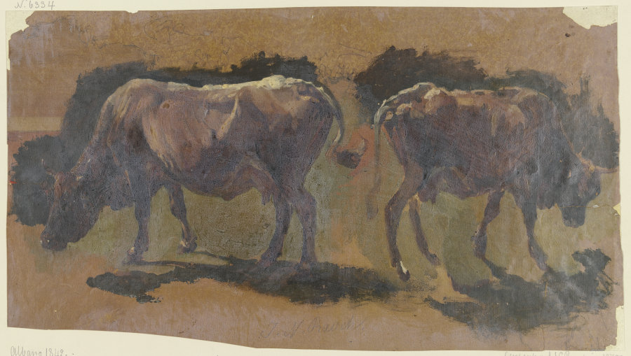 Zwei Kühe in Albano von Johann Nepomuk Rauch