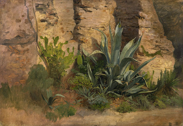 Studie einer Agave, Yucca, eines Feigenkaktus und Ginsters, an der Stadtmauer in Rom. von Johann Wilhelm Schirmer