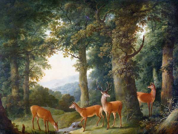 Waldlandschaft mit Rotwild von Johann Andreas Herrlein