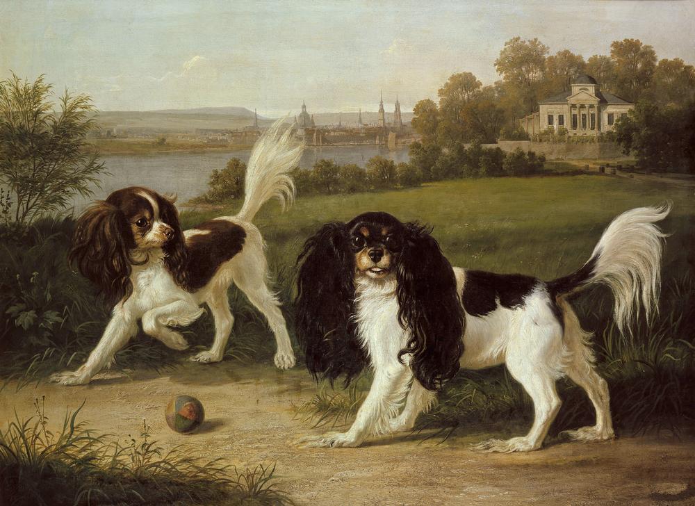 Zwei King-Charles-Hunde vor Dresden von Johann Friedrich Wilhelm Wegener