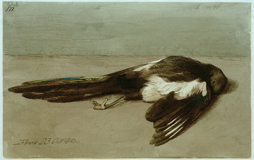 Eine tote Elster von Johan Thomas Lundbye