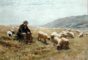 A Shepherd on the South Downs c.1900  on