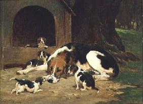 A Foxhound Bitch with her litter 1880