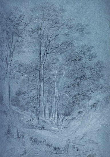 Study of ash and other trees (pencil on paper, heightened with white chalk) von John Constable