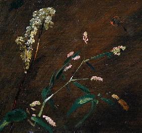Flower Studies: Persicaria and Meadowsweet (oil on canvas laid on panel) 1789