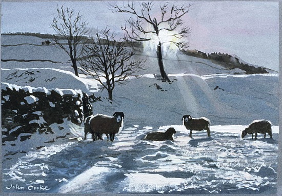 Winter Afternoon at Dentdale von John  Cooke