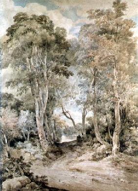 Wood Scene 1810