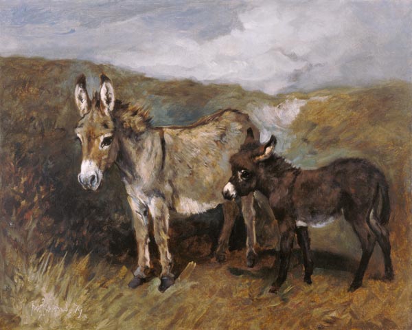 Donkeys out on the Moor von John Emms