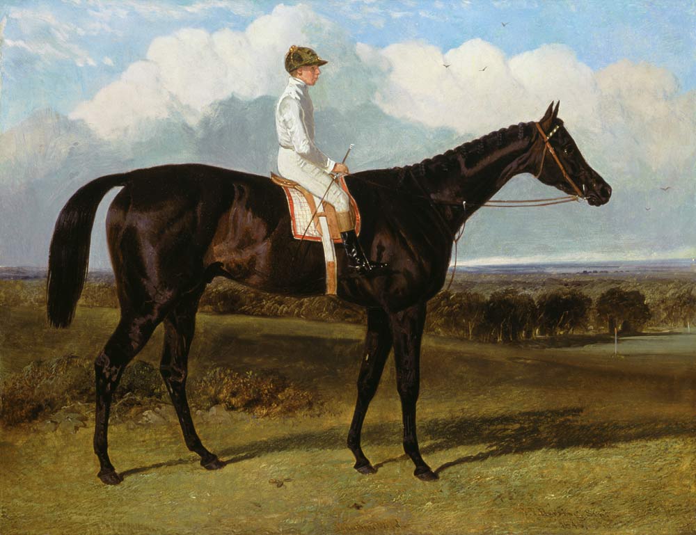 'Jonathan Wild' a Dark Bay Race Horse, at Goodwood, T.Ryder up von John Frederick Herring d.Ä.