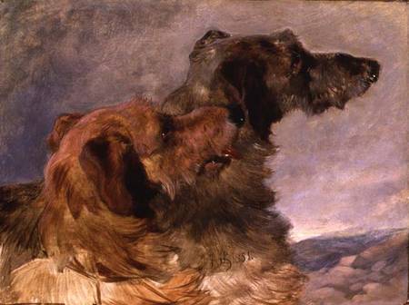 Two Deerhounds von John Frederick Herring d.Ä.