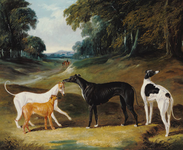 Greyhounds, 'Spot', 'Skylark', 'Nettle' and 'Sky' von John Frederick Herring d.Ä.