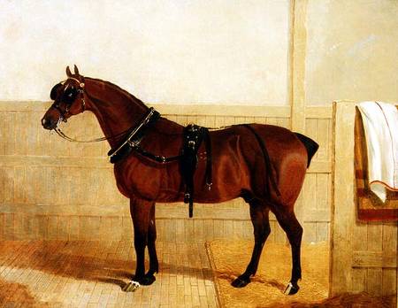 Prize Shire Horse in Harness von John Frederick Herring d.Ä.