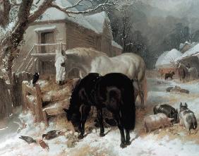 Farmyard Scene