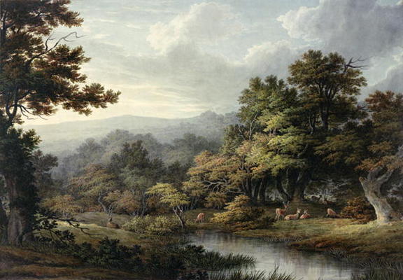 Forest Glade with Pool and Deer (w/c on paper) von John Glover