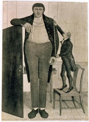 Mr O'Brien, the Irish Giant, the Tallest Man in the Known World Being near Nine Feet High, 1803 (etc von John Kay