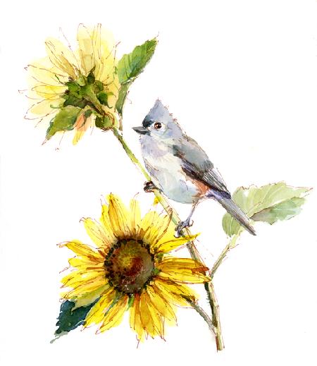 Titmouse with Sunflower 2016