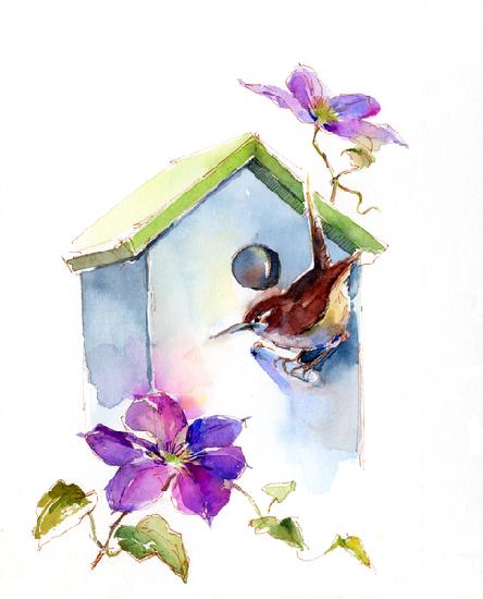 Wren with birdhouse and clematis 2016