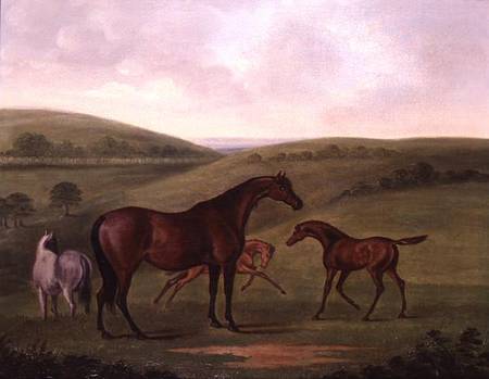 Mare with Foals in a Landscape von John Nost Sartorius