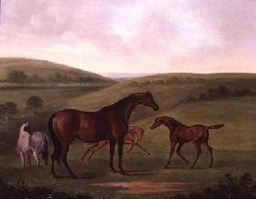 Mare with Foals in a Landscape