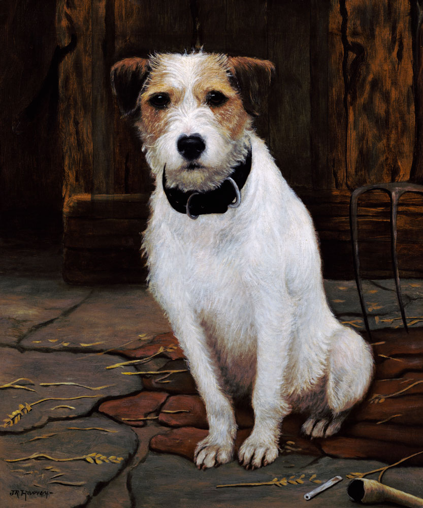 Portrait of Terrier von John Rabone Harvey