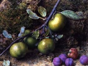 Apples and Plums on a Mossy Bank