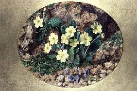 Primroses and Violets
