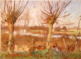 Landscape with Trees, Calcot-on-the-Thames c.1888