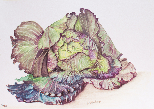 Cabbage von Margo Starkey