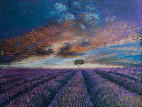 Lavender fields of Normandy von Margo Starkey