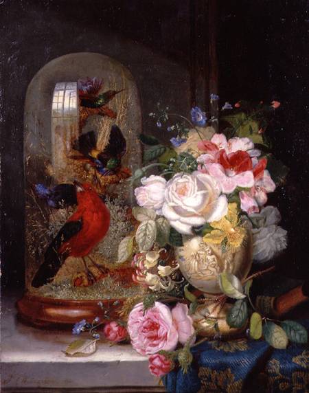 A Still Life with Roses in a Vase beside Exotic Birds in a Glass Case von John Wainwright