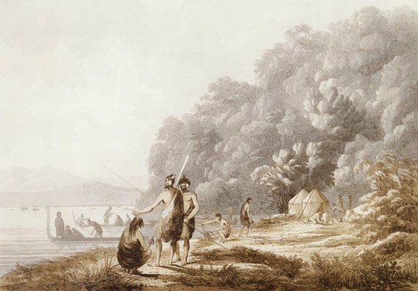 View in Queen Charlotte's Sound, New Zealand, from 'Views in the South Seas', pub. 1790 (etching) von John Webber
