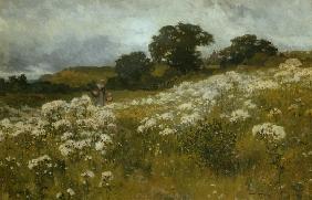 Across the Fields (oil on canvas) 