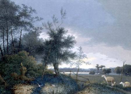 Landscape with a fox chasing geese von Joseph August Knip