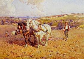 Ploughing