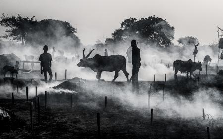 In einem Mundari-Rinderlager – Südsudan