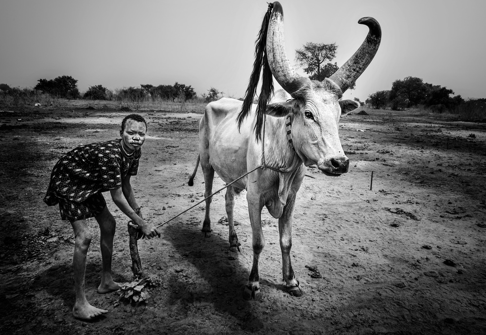 In einem Mundari-Rinderlager-I – Südsudan von Joxe Inazio Kuesta Garmendia