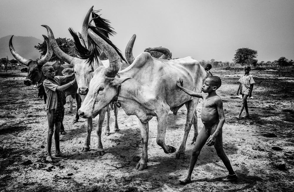 Kinder des Mundari-Stammes kümmern sich um das Vieh – Südsudan von Joxe Inazio Kuesta Garmendia