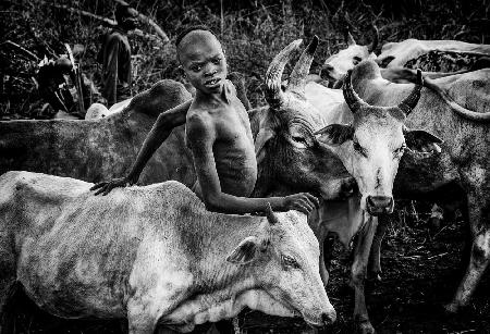 Menschen des Surma-Stammes,die sich um das Vieh kümmern – ich Äthiopien