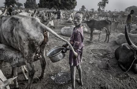 Mundari-Kind füllt den Behälter mit Kuhurin – Südsudan