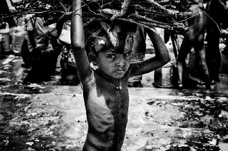 Rohingya-Flüchtlingskind trägt etwas Holz,um Feuer zu machen – Bangaldesh
