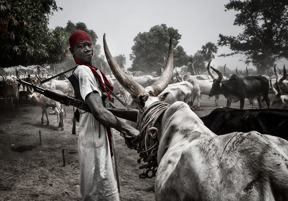 Schutz der Tiere in einem Mundari-Rinderlager – Südsudan von Joxe Inazio Kuesta Garmendia