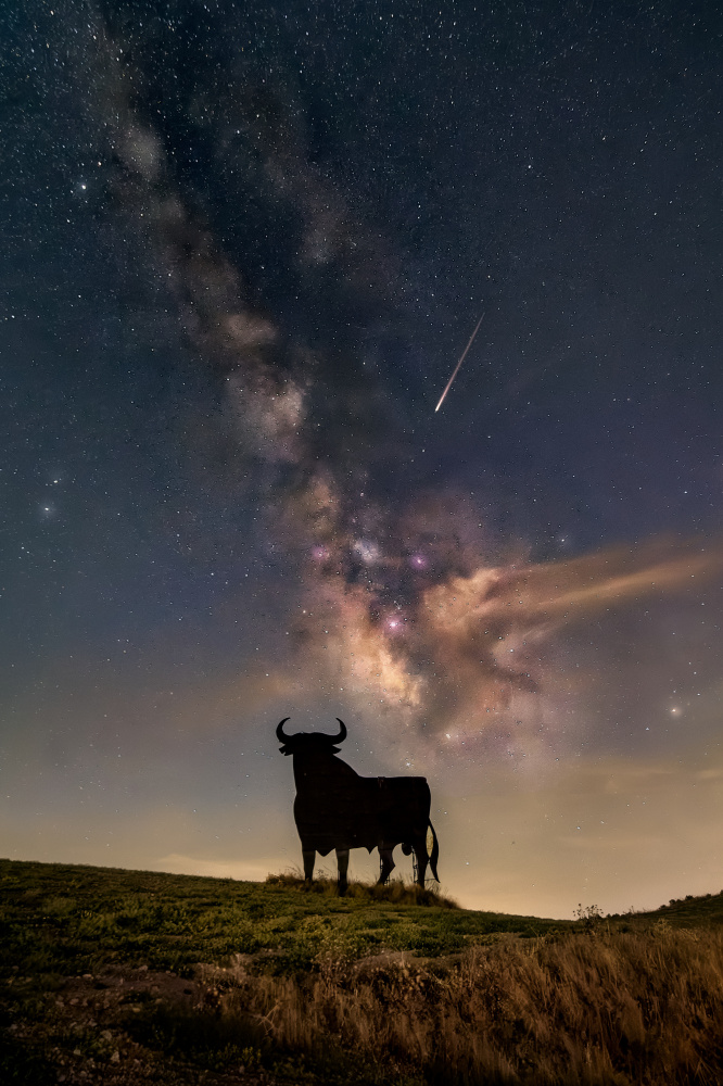 Ein galaktischer Toro... von Juan Luis Seco