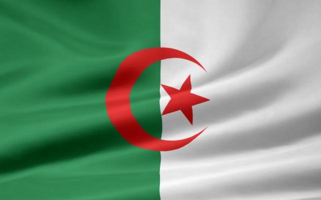 Algerische Flagge von Juergen Priewe
